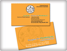 Douglas Orr Plumbing - Business Cards Design by TheLogoBoutique.com