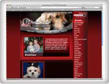 Website Design Samples