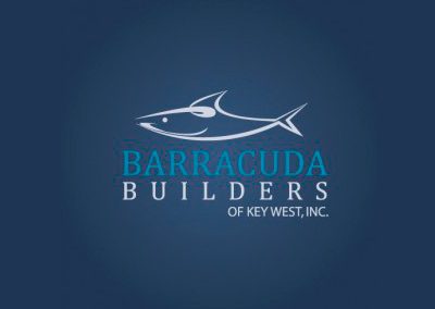 Barracuda logo sample