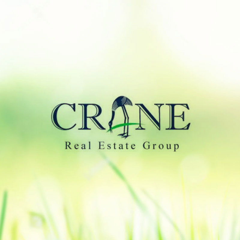 cranerealestatethelogoboutique The Logo Boutique