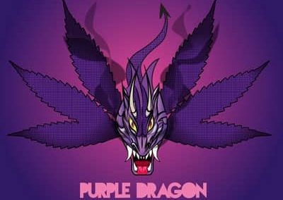 sample : Logo Design Purple Dragon