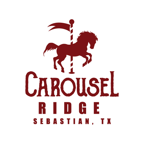 logo-boutique-design-carousel-ridge - The Logo Boutique
